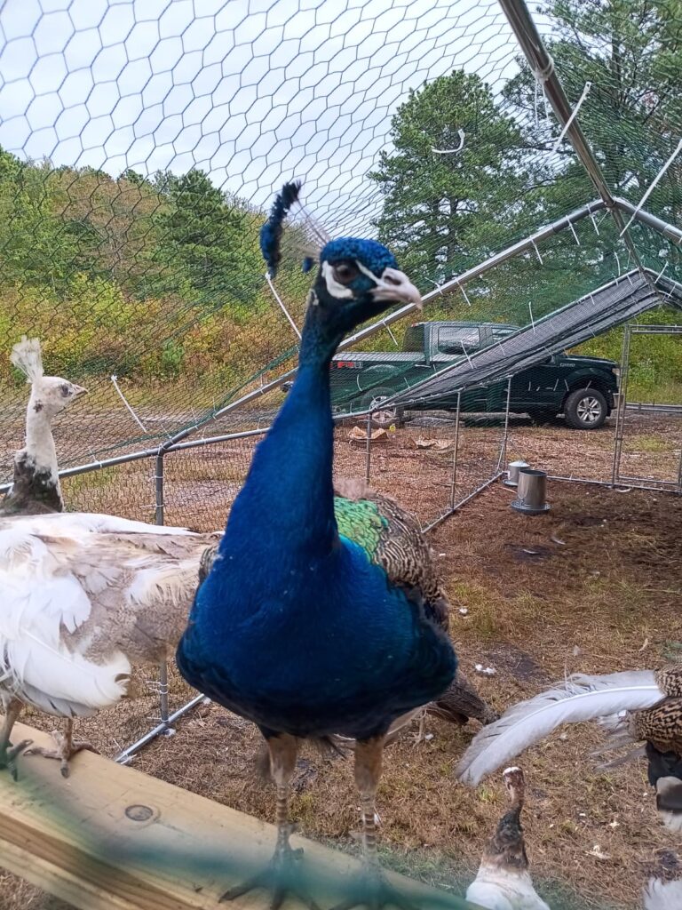 79097559-fe54-4ec9-852d-32b5f84c3ea3