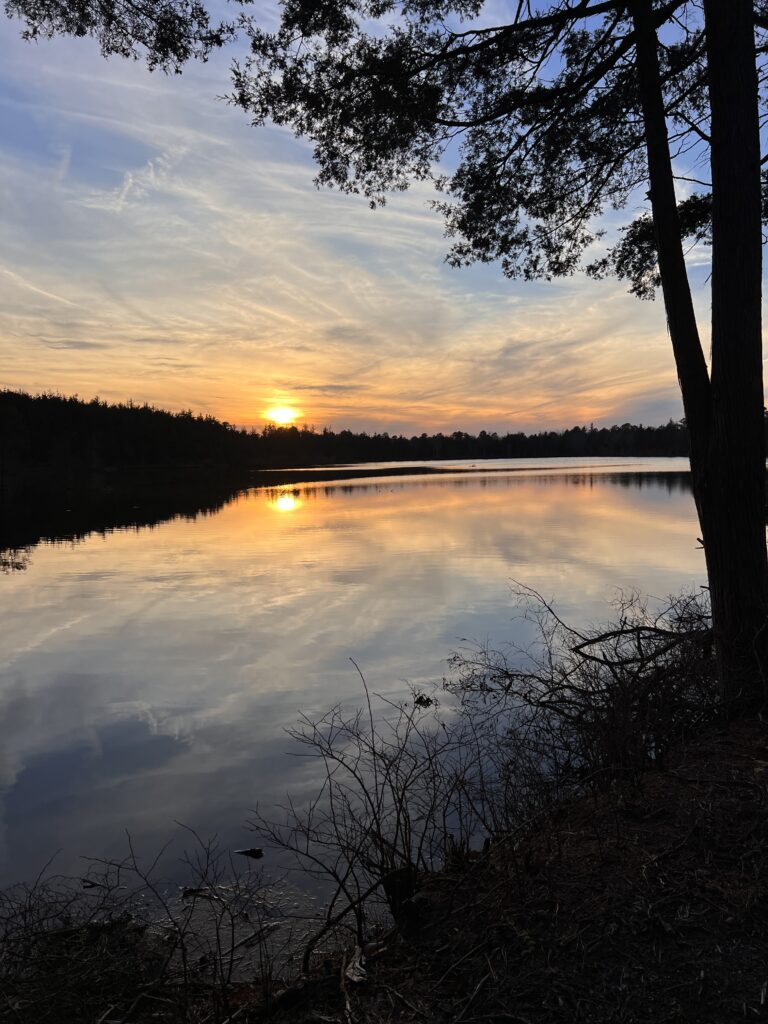 F1F97606-CFF8-4FBE-ACA6-8BE4A0F20EE2