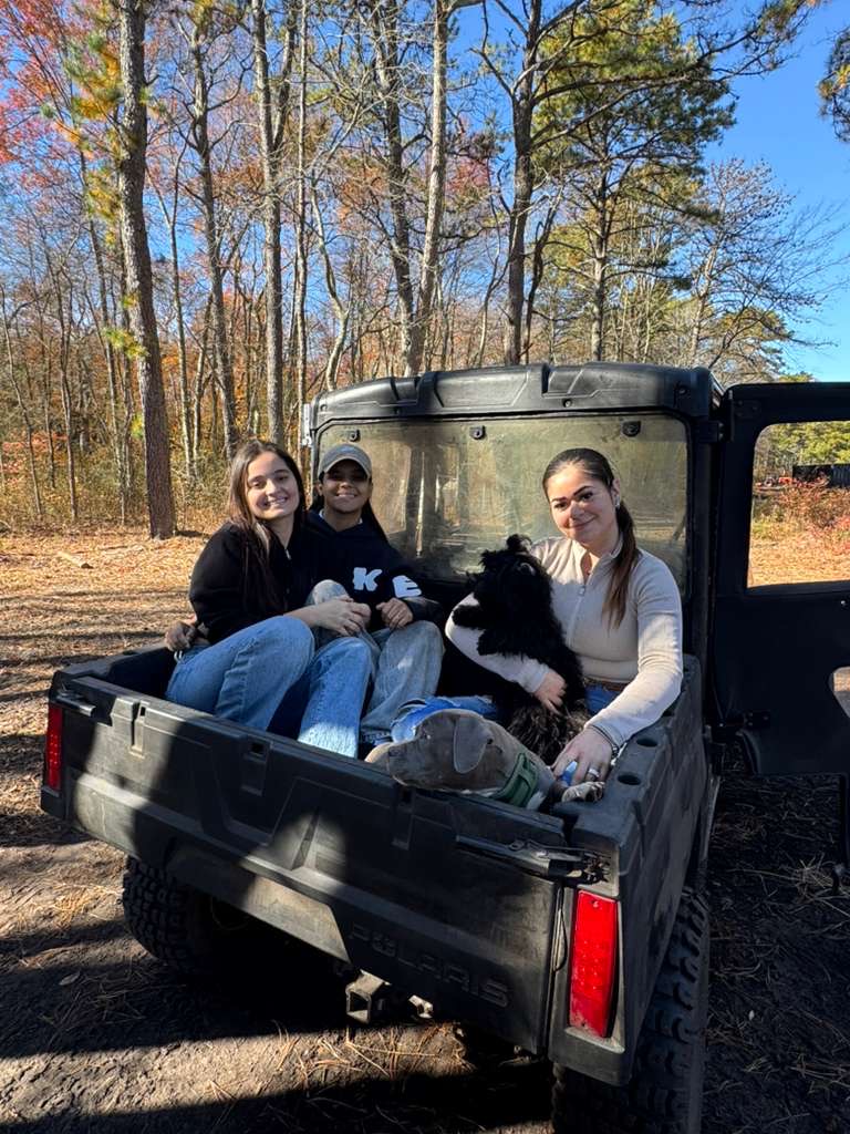 d75f6a46-ab1a-44d4-88f5-22680e75d32c