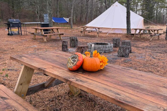 teca farms private picnic venue